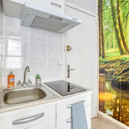 Studette La Forêt Enchantée Rer C * Viroflay